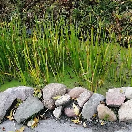 Machnitzki Lejlighed Klein Nemerow