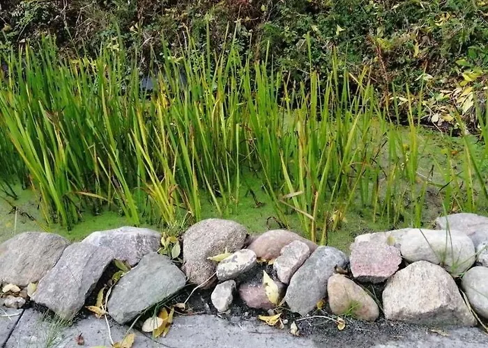 Machnitzki 아파트 클라인네메로프